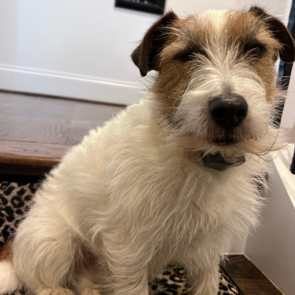 Meet your Posher, Jwick